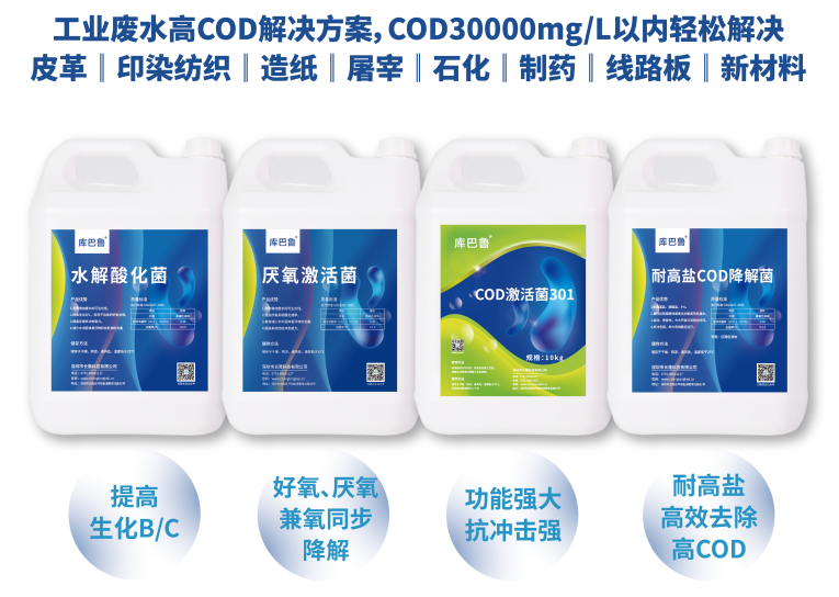 CODD達標全家桶